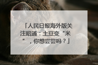 人民日报海外版关注昭通：土豆变“米”，你想尝尝吗？