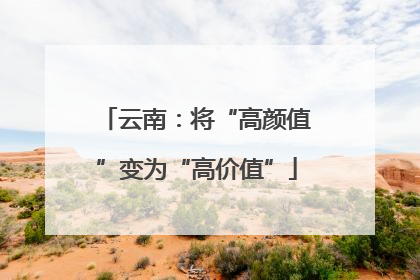 云南：将“高颜值”变为“高价值”
