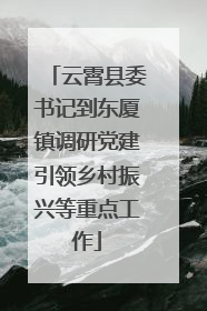 云霄县委书记到东厦镇调研党建引领乡村振兴等重点工作