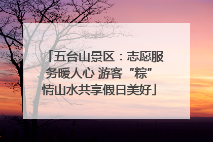 五台山景区：志愿服务暖人心 游客“粽”情山水共享假日美好