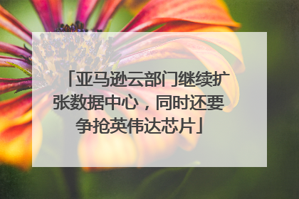 亚马逊云部门继续扩张数据中心，同时还要争抢英伟达芯片