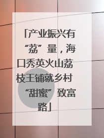 产业振兴有“荔”量，海口秀英火山荔枝王铺就乡村“甜蜜”致富路
