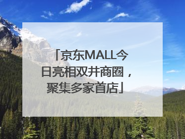 京东MALL今日亮相双井商圈，聚集多家首店