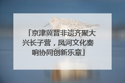 京津冀晋非遗齐聚大兴长子营，凤河文化奏响协同创新乐章
