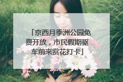 京西月季洲公园免费开放，市民假期驱车前来赏花打卡
