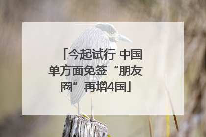 今起试行 中国单方面免签“朋友圈”再增4国