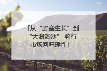 从“野蛮生长”到“大浪淘沙” 骑行市场回归理性