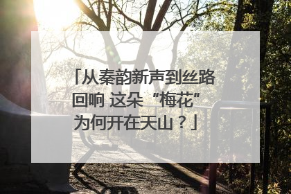从秦韵新声到丝路回响 这朵“梅花”为何开在天山？