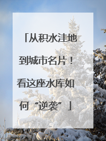 从积水洼地到城市名片！看这座水库如何“逆袭”