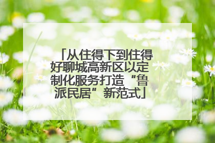 从住得下到住得好聊城高新区以定制化服务打造“鲁派民居”新范式