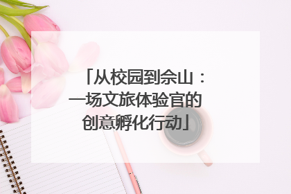 从校园到佘山：一场文旅体验官的创意孵化行动