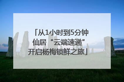 从1小时到5分钟 仙居“云端速递”开启杨梅锁鲜之旅