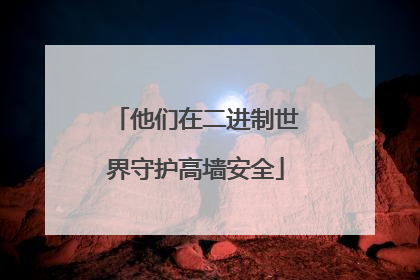 他们在二进制世界守护高墙安全