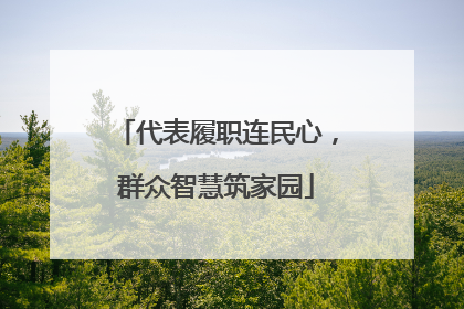 代表履职连民心，群众智慧筑家园