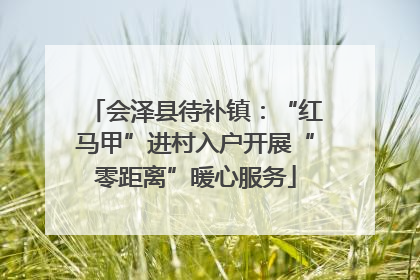 会泽县待补镇：“红马甲”进村入户开展“零距离”暖心服务