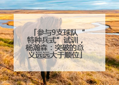 参与9支球队“特种兵式”试训，杨瀚森：突破的意义远远大于顺位