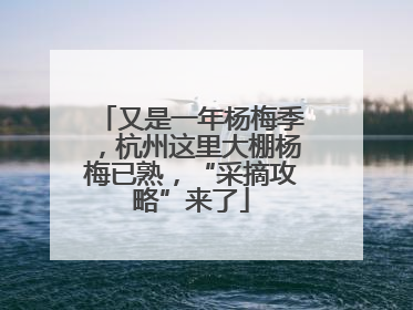 又是一年杨梅季，杭州这里大棚杨梅已熟，“采摘攻略”来了