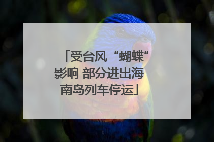 受台风“蝴蝶”影响 部分进出海南岛列车停运