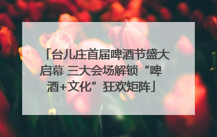 台儿庄首届啤酒节盛大启幕 三大会场解锁“啤酒+文化”狂欢矩阵