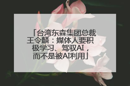 台湾东森集团总裁王令麟：媒体人要积极学习、驾驭AI，而不是被AI利用