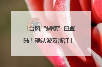 台风“蝴蝶”已登陆！确认波及浙江