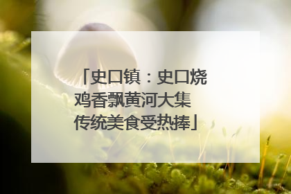 史口镇：史口烧鸡香飘黄河大集 传统美食受热捧