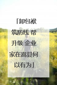 卸包袱 筑防线 帮升级 企业家在嵩县何以有为