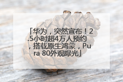 华为，突然宣布！2.5小时超4万人预约，搭载原生鸿蒙，Pura 80外观曝光