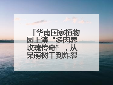 华南国家植物园上演“多肉界玫瑰传奇”，从呆萌树干到炸裂种子全是戏！