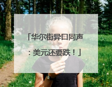 华尔街异口同声：美元还要跌！