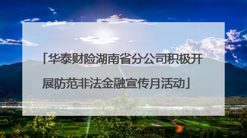 华泰财险湖南省分公司积极开展防范非法金融宣传月活动