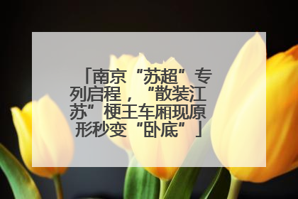 南京“苏超”专列启程，“散装江苏”梗王车厢现原形秒变“卧底”