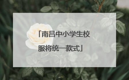 南昌中小学生校服将统一款式