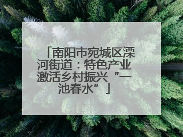 南阳市宛城区溧河街道：特色产业激活乡村振兴“一池春水”