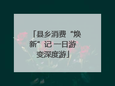 县乡消费“焕新”记 一日游变深度游