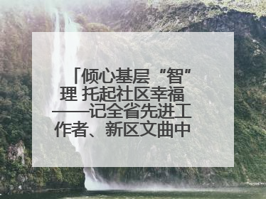 倾心基层“智”理 托起社区幸福——记全省先进工作者、新区文曲中心社区党委书记董世弘