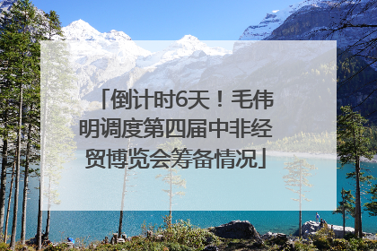 倒计时6天！毛伟明调度第四届中非经贸博览会筹备情况