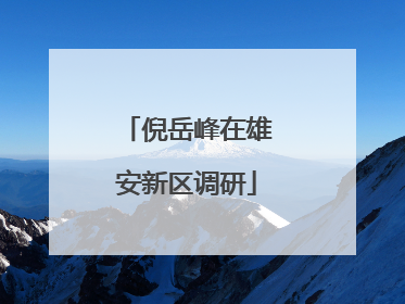 倪岳峰在雄安新区调研