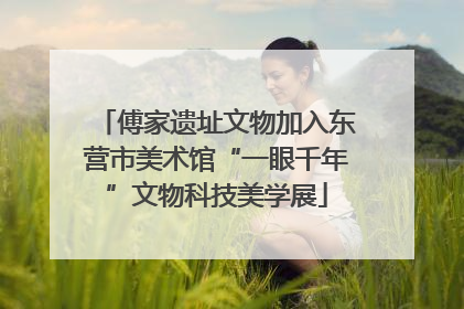傅家遗址文物加入东营市美术馆“一眼千年”文物科技美学展