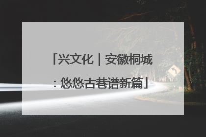 兴文化｜安徽桐城：悠悠古巷谱新篇