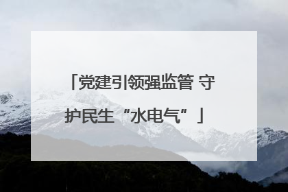 党建引领强监管 守护民生“水电气”