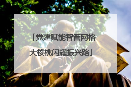 党建赋能智管网格 大樱桃闪耀振兴路