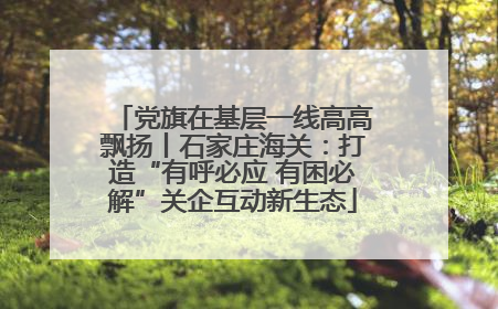 党旗在基层一线高高飘扬丨石家庄海关：打造“有呼必应 有困必解”关企互动新生态
