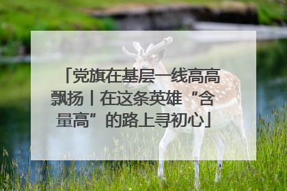 党旗在基层一线高高飘扬丨在这条英雄“含量高”的路上寻初心