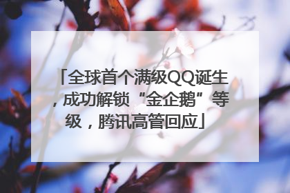 全球首个满级QQ诞生，成功解锁“金企鹅”等级，腾讯高管回应