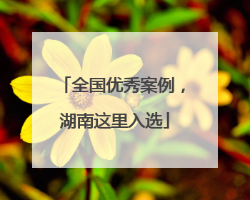 全国优秀案例，湖南这里入选
