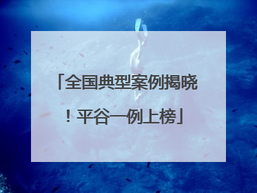 全国典型案例揭晓！平谷一例上榜