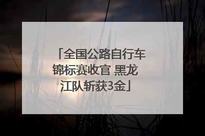 全国公路自行车锦标赛收官 黑龙江队斩获3金