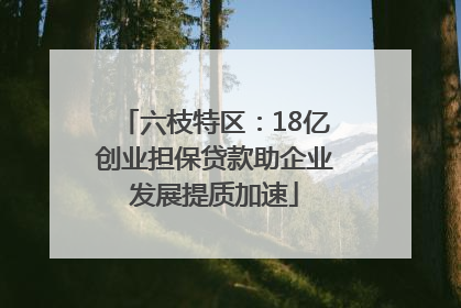 六枝特区：18亿创业担保贷款助企业发展提质加速