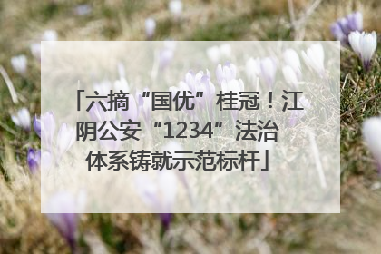 六摘“国优”桂冠！江阴公安“1234”法治体系铸就示范标杆